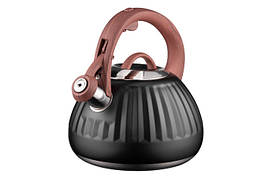 Чайник Ardesto Gemini, 2.5 л, чорний, неіржавка сталь.