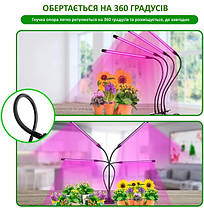 Фітолампа світильник для вирощування рослин Fitolamp, 4 Led 207392, фото 3