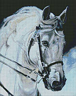 Алмазна вишивка коні Мозаїка круглим камінням Гордий кінь 40х50 Картини стразами на підрамнику Ідейка AMO7394
