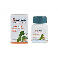 ГУДУЧІ 60КАП ХІМАЛАЯ,GUDUCHI(60CAP). HIMALAYA