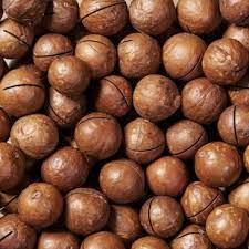 Натуральный ыкусный Орех макадамия (макадамский орех) в скарлупе 500 гр ...