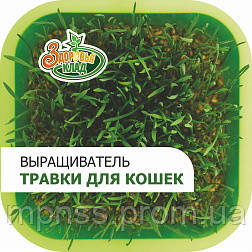 Вирощувач трави для котів «Здоров'я КЛАД», фото 1