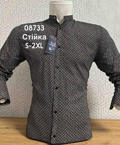 Стрейчевая приталена сорочка з принтом Noseda стійка, фото 1
