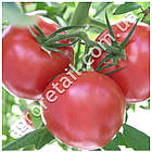 Томат Зінуля 0.1 г Gl Seeds, фото 2