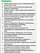 Акумулятор EverExceed EV48200-T-15 (48V200Ah LCD SNMP), фото 5