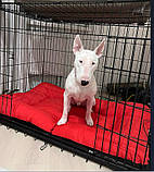 Вольєри та клітки для перенесення собак Металева клітка переноска для собак розмір XXL (122x76x83 см), фото 2