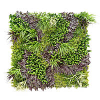 Декоративне зелене покриття-фітостіна "Monet Gardens", Engard 100х100 см (GCK-25)