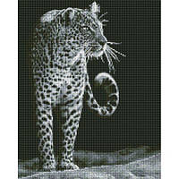 Алмазная мозаика "Ночной охотник" 40х50см от LamaToys