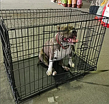 Вольєри та клітки для собак Металева клітка переноска для собак XXL (122x76x83 см), фото 8