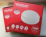 Світильник стельовий світлодіодний для ЖКГ круглий накладний LED 12 W 4500 К 110-265V IP65 Vestum без решітки, фото 8