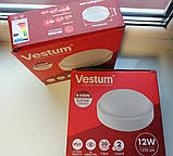 Світильник стельовий світлодіодний для ЖКГ круглий накладний LED 12 W 4500 К 110-265V IP65 Vestum без решітки, фото 4