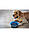 Миска для собак Dexas Slow Feeder Dog Bowl силіконова для повільного годування 1440 мл блакитний (PW301-432-2194), фото 2