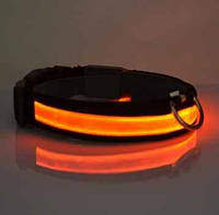 Світлодіодний LED-нашийник на батарейках розмір (М) Оранжевий 37-46 см