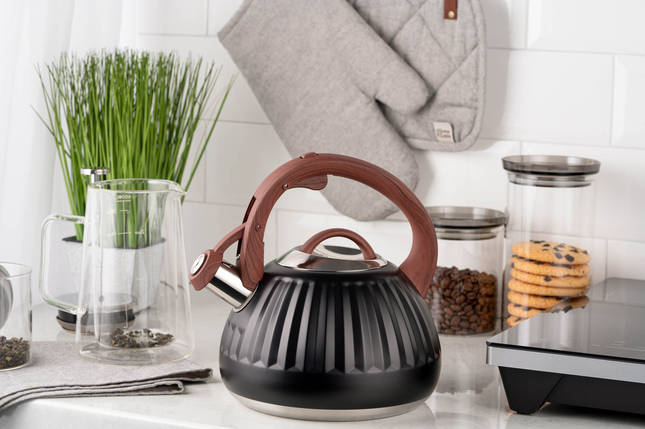 Чайник ARDESTO Gemini AR1958KS (2.5 л), фото 2