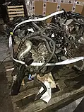 Двигун 1.6L Ford Transit Connect з 2013-год DV6Q-6006-BA, фото 4