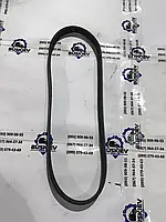 Ремінь водяної помпи RWD Ford Transi з 2014- рік GK3Q-6C301-CB