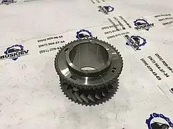 Коронна шестерня 5-я передавання Ford Transit з 2006- рік CC1R-7M165-XCA