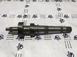 Вал первинний