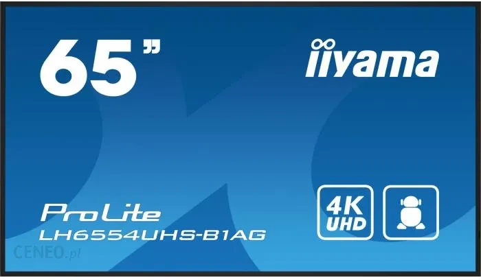 Проекційний екран (інтерактивна дошка) Iiyama 55 Cali Lh5554Uhs-B1Ag 24/7, Ips, Android.11, 4K, Sdm, 2X10W - фото 1 - id-p2071911911