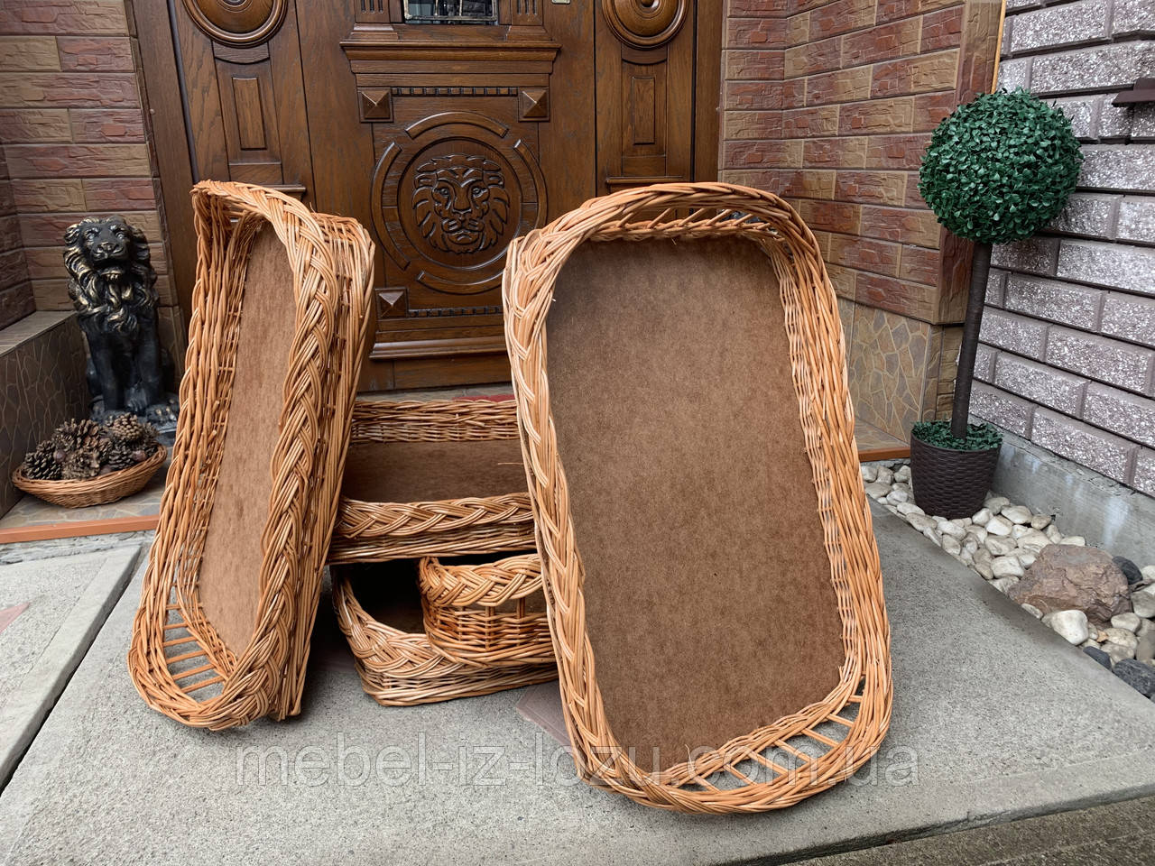 Рознос великий 60*40