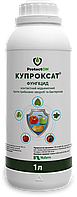 Фунгіцид проти грибних хвороб та бактеріозів Купроксат к.с. ProtectON 1 л