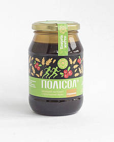 Полісол