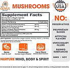 The Genius Brand Genius Mushroom Lions Mane Cordyceps and Reishi 180 caps, фото 3