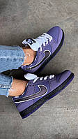 Женские кроссовки Nike SB Dunk Low Purple Lobster (фиолетовые) красивые кроссы весна-лето Y14411