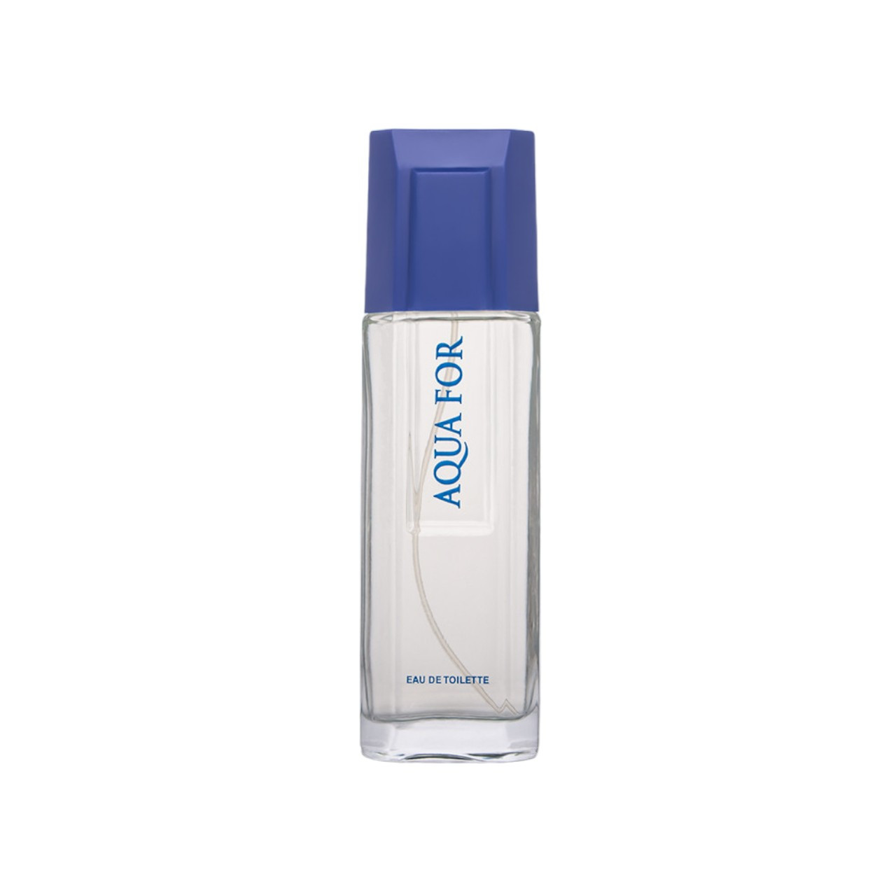 Туалетна вода для чоловіків Aqua For Men's style ТМ Aromat 100 мл