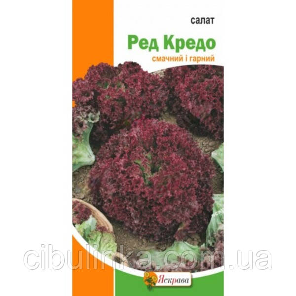 Насіння Салат Ред Кредо Яскрава 1 г, фото 1