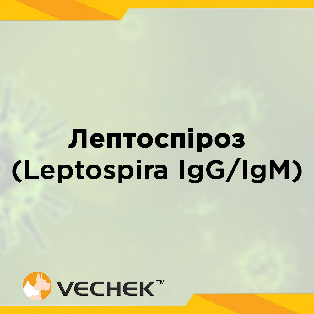 Експрес-тест на лептоспіроз (Leptospira IgG/IgM), VILEP-402