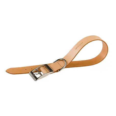 Шкіряний нашийник для собак NATURAL бежевого кольору A: 35-43 cm B: 20 mm, фото 1