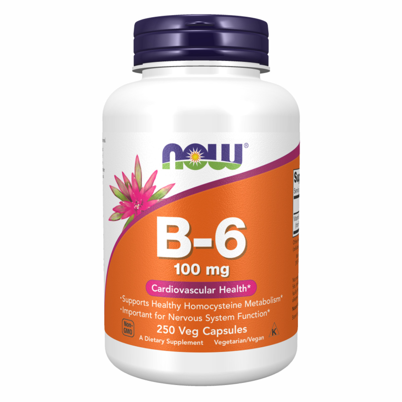 B-6 100mg - 250 vcaps, фото 1