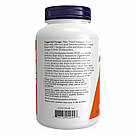 Inulin Powder - 227g, фото 4