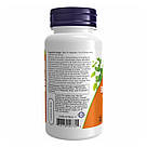 Willow Bark Extract 400mg - 100 vcaps, фото 4