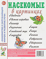 Книга Насекомые в картинках. Наглядное пособие для педагогов, логопедов, воспитателей и родителей (мягк.)