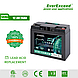 Акумулятор EverExceed LDP12-60 (12.8V60Ah Bluetooth), фото 7
