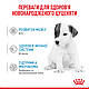 Замінник молока для цуценят Royal Canin Babydog Milk (Роял Канін Бебі Дог Мілк) , 2КГ, фото 9