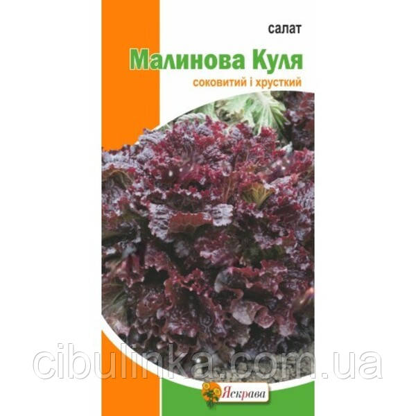 Салат Малинова куля (25 днів), фото 1