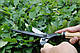 Садові ножиці для кущів Окатсуне / Okatsune (KST214) Японія, фото 2