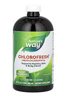 Nature's Way, Chlorofresh, рідкий хлорофіл, жидкий Хлорофилл з ароматом м яти,473,2 мл