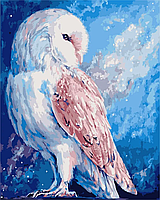Картина за номерами, (AS1022), Біла сова, 40 х 50 см, ArtStory, (Без коробки)