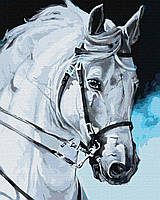 Картина Рисование по номерам Лошади 40х50 Картина по цифрам Гордый конь Картины по номерам Идейка KHO4387