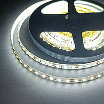 LED стрічка B-LED SMD2835 V3 120шт/м 14W/м IP20 12V 6000-6500K ST-12-2835-120-CW-20-V3 14481, фото 2