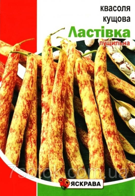 Насіння квасолі Ластівка, ТМ Яскрава, 30г