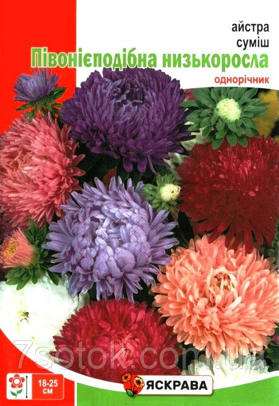 Насіння айстри Півонієподібна низька суміш, ТМ Яскрава, 3г