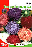 Насіння айстри Півонієподібна низька суміш, ТМ Яскрава, 3г