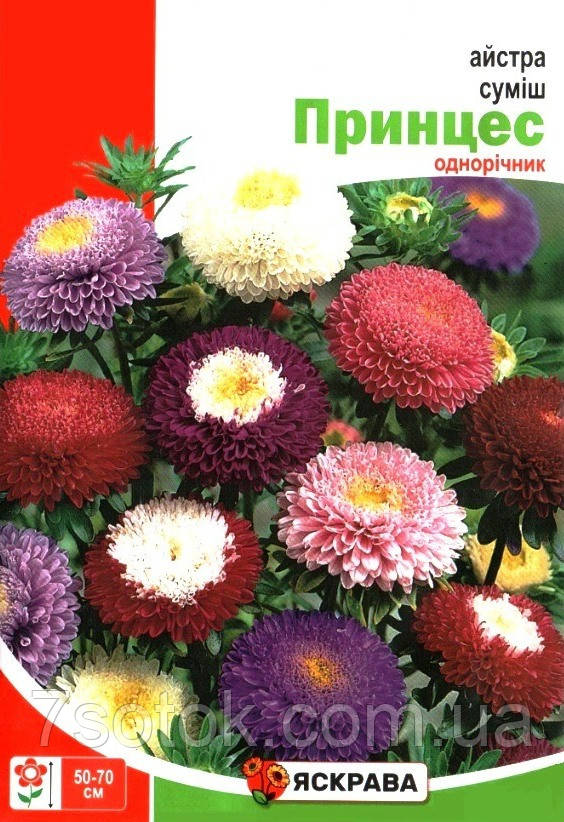 Насіння айстри Сумiш принцес, ТМ Яскрава, 3г