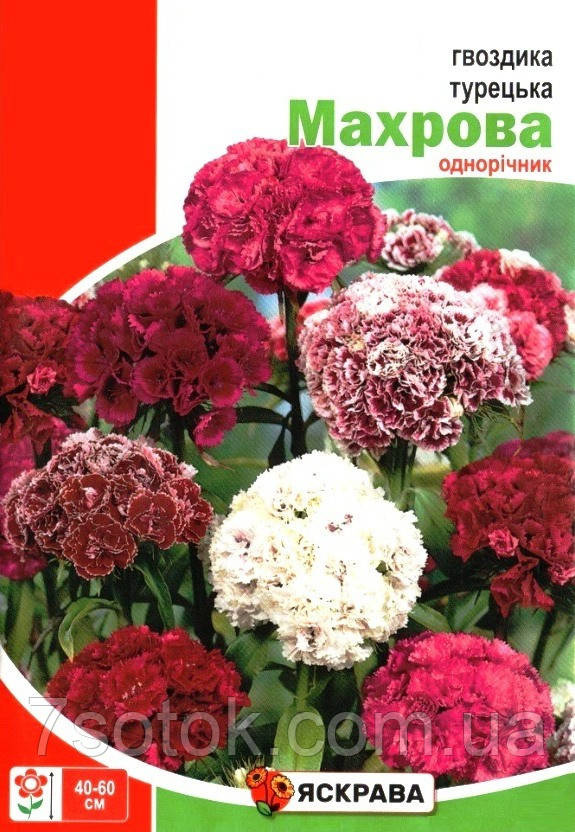 Семена гвоздики Турецкая махровая, ТМ Яскрава, 3г - фото 1 - id-p2008648580