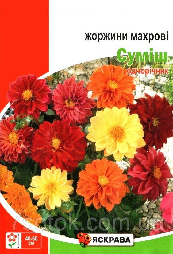 Насіння жоржин махрові суміш, ТМ Яскрава, 2г